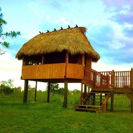 Everglades Chickee Cottage & Bungalow - Ochopee Exterior photo